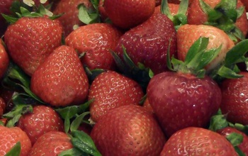 strawberries